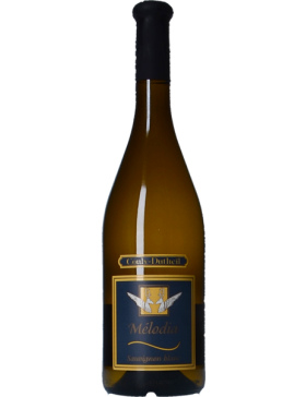 Domaine Couly Dutheil - Melodia - Vin Touraine