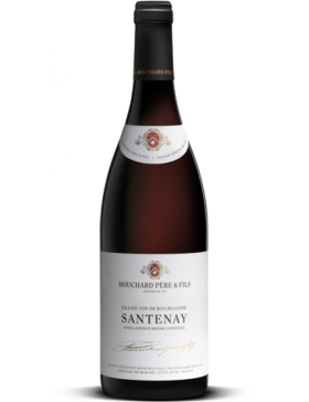 Bouchard Père & Fils - Blanc - Santenay - Vin Santenay