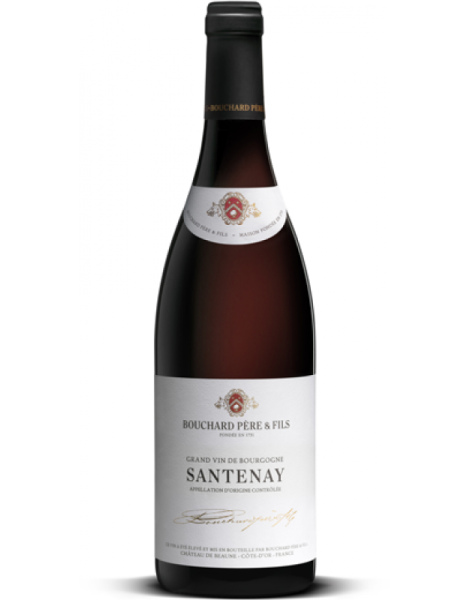 Bouchard Père & Fils - Blanc - Santenay