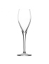 Flûte à Champagne ANYTIME - Lot de 6