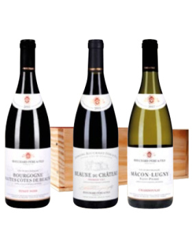 Caisse Bois Bouchard Père & Fils Bourgogne AOP - 3 x 75cl - Vin Bourgogne
