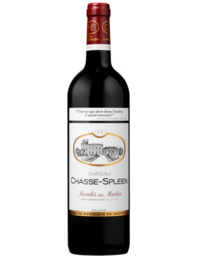 Château Chasse-Spleen - Rouge - 2010 - Vin Moulis-En-Médoc