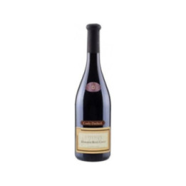 René Couly Rouge 2020 - Couly Dutheil - 75 cl