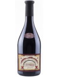 Domaine Couly Dutheil - Clos de l'Echo - Magnum - 2016