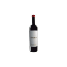 Ribera Del Duero Rouge 2016 - Domaine VivaltuS - 300 cl