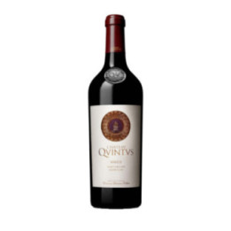 Saint Emilion Grand Cru 2015 - Château Quintus - 75 cl