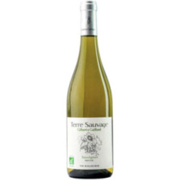 Terre Sauvage Sauvignon 2023 - Gilbert & Gaillard - 75 cl