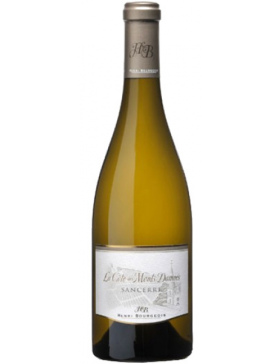 La Côte des Monts Damnés - 2019 - Vin Sancerre