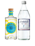 Pack Gin Malfy Con Limone & Tonic Premium Archibald