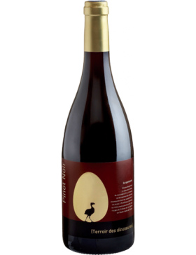 Anne De Joyeuse Terres des Dinosaures Rouge - 2020 - Vin Pays-d'Oc