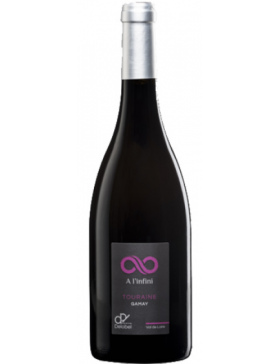 Domaine Delobel - A l'Infini - Rouge - BIO - 2020 - Vin Touraine