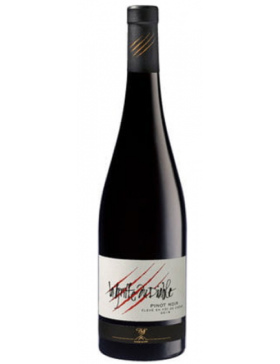 La Cave Des Vignerons De Pfaffenheim - La Griffe du Diable - Rouge - 2016 - Vin Alsace Pinot-Noir