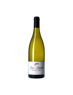 Frontignan Muscat - Muscat Sec Terres Blanches - Blanc - 2019 - Vin Pays-d'Oc