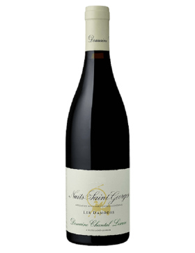 Domaine Chantal Lescure - 1er Cru Les Damodes - Nuit Saint George - Rouge - BIO - 2013 - Vin Nuits-Saint-Georges