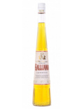 Bols - Liqueur Galliano Autentico 