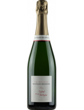 Bertrand-Delespierre - Enfant De La Montagne Extra Brut - Champagne AOC Bertrand-Delespierre 