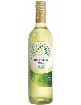 Blossom Hill Pinot Grigio - 2021 - Vin Californie