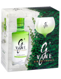 G'vine Gin Floraison Coffret 1 Verre 40%