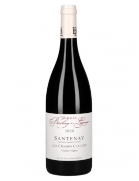 Domaine Bachey-Legros - Santenay Champ Claude Vieilles Vignes 2020 - Vin Santenay