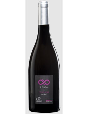 Domaine Delobel - A l'Infini - Rouge - BIO - 2021 - Vin Touraine