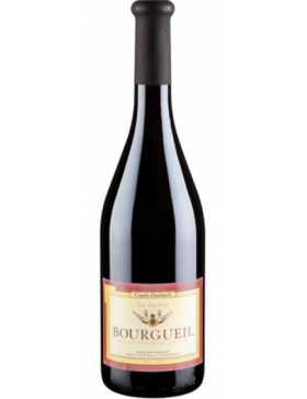 Domaine Couly Dutheil - Les Barroirs - 2022 - Vin Bourgueil