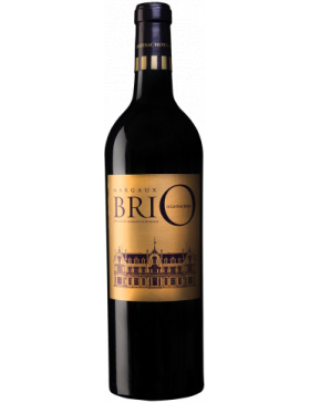 Brio de Cantenac Brown 2019 - A RECYCLER - Vin Margaux