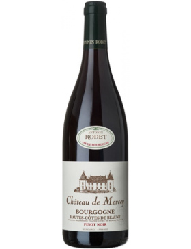 Antonin Rodet - Château de Mercey - 2022