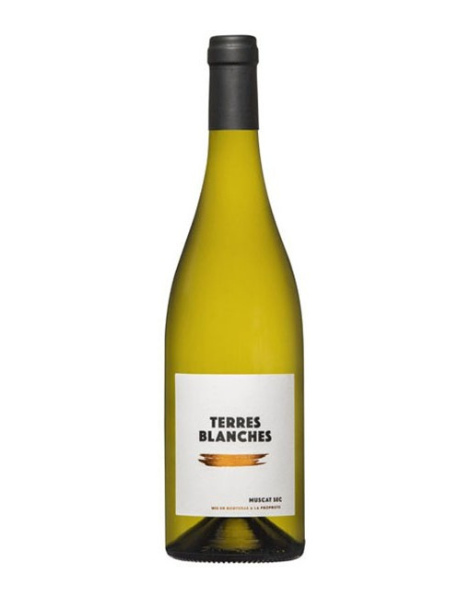 Frontignan Muscat - Muscat Sec Terres Blanches - Blanc - 2024
