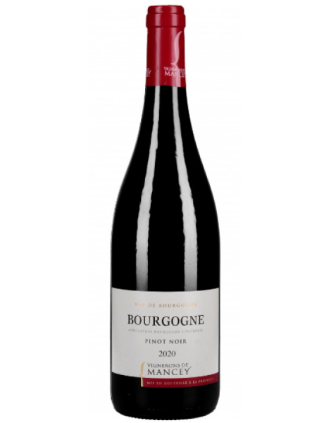 Les Vignerons de Mancey - Bourgogne Pinot Noir - 2021