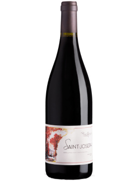 Pierre Gaillard - Saint-Joseph - Rouge - 2021 - Vin Saint-Joseph