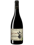 John Wine - Sans Sulfites Ajoutés - Rouge - 2023 - Domaine Cazes